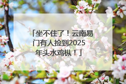 坐不住了！云南易门有人捡到2025年头水鸡枞！