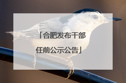 合肥发布干部任前公示公告