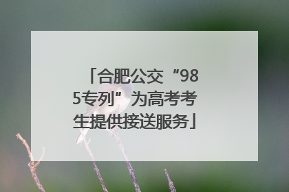 合肥公交“985专列”为高考考生提供接送服务