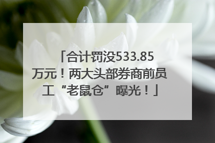 合计罚没533.85万元！两大头部券商前员工“老鼠仓”曝光！