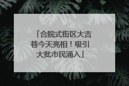 合院式街区大吉巷今天亮相！吸引大批市民涌入