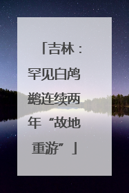 吉林：罕见白鸬鹚连续两年“故地重游”