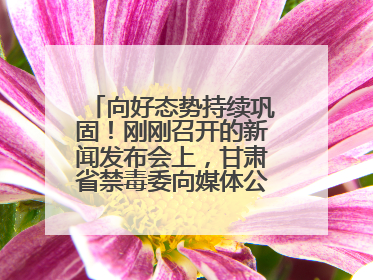 向好态势持续巩固！刚刚召开的新闻发布会上，甘肃省禁毒委向媒体公布三年禁毒工作“成绩单”