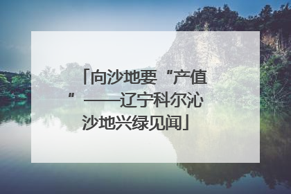 向沙地要“产值”——辽宁科尔沁沙地兴绿见闻