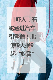 吓人，有蛇藏进汽车引擎盖！北京9天接9起“蛇警”