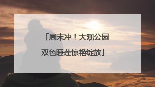 周末冲！大观公园双色睡莲惊艳绽放