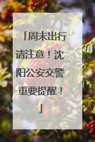 周末出行请注意！沈阳公安交警重要提醒！