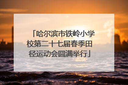 哈尔滨市铁岭小学校第二十七届春季田径运动会圆满举行