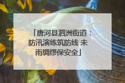 唐河县泗洲街道：防汛演练筑防线 未雨绸缪保安全
