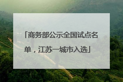 商务部公示全国试点名单，江苏一城市入选