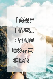 商视界丨柘城县：容湖湿地葵花竞相绽放