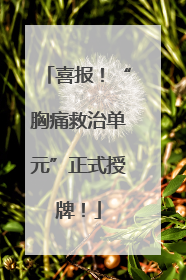 喜报！“胸痛救治单元”正式授牌！