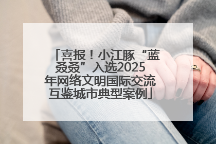 喜报！小江豚“蓝叒叒”入选2025年网络文明国际交流互鉴城市典型案例