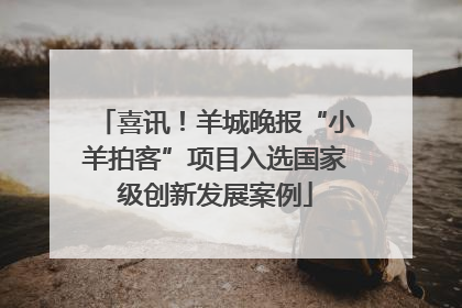 喜讯！羊城晚报“小羊拍客”项目入选国家级创新发展案例