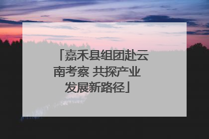 嘉禾县组团赴云南考察 共探产业发展新路径