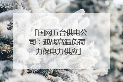 国网五台供电公司：迎战高温负荷 力保电力供应