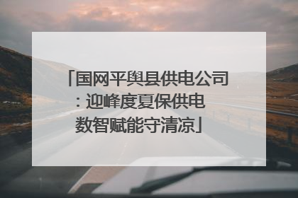 国网平舆县供电公司：迎峰度夏保供电  数智赋能守清凉