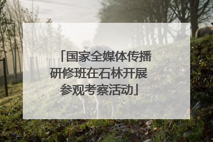 国家全媒体传播研修班在石林开展参观考察活动