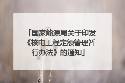 国家能源局关于印发《核电工程定额管理暂行办法》的通知