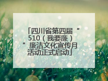 四川省第四届“510（我要廉）”廉洁文化宣传月活动正式启动
