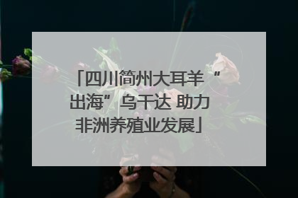四川简州大耳羊“出海”乌干达 助力非洲养殖业发展