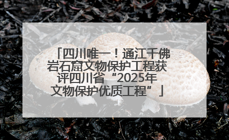 四川唯一！通江千佛岩石窟文物保护工程获评四川省“2025年文物保护优质工程”
