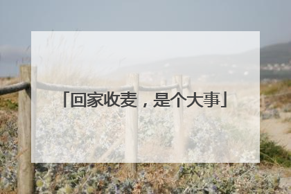 回家收麦，是个大事