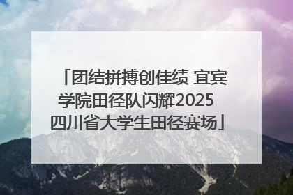 团结拼搏创佳绩 宜宾学院田径队闪耀2025四川省大学生田径赛场