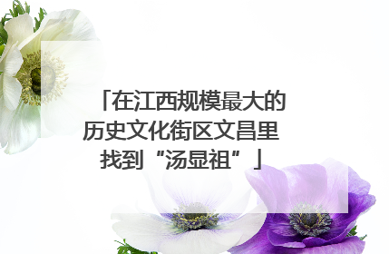 在江西规模最大的历史文化街区文昌里找到“汤显祖”