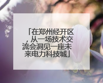在郑州经开区，从一场技术交流会洞见一座未来电力科技城
