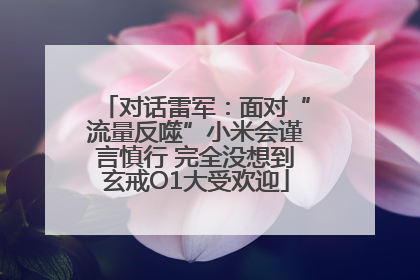 对话雷军：面对“流量反噬”小米会谨言慎行 完全没想到玄戒O1大受欢迎