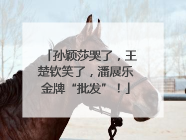 孙颖莎哭了，王楚钦笑了，潘展乐金牌“批发”！