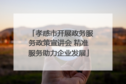 孝感市开展政务服务政策宣讲会 精准服务助力企业发展