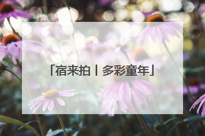 宿来拍丨多彩童年
