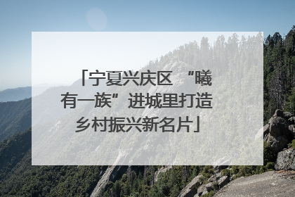 宁夏兴庆区 “曦有一族”进城里打造乡村振兴新名片