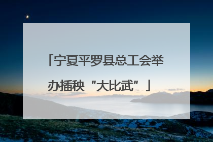 宁夏平罗县总工会举办插秧“大比武”