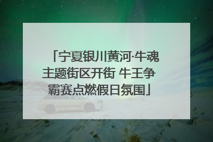 宁夏银川黄河·牛魂主题街区开街 牛王争霸赛点燃假日氛围