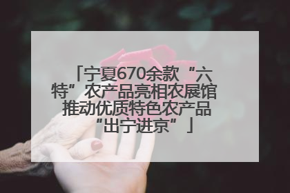 宁夏670余款“六特”农产品亮相农展馆 推动优质特色农产品“出宁进京”
