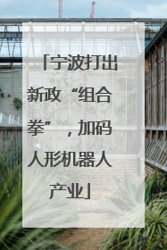 宁波打出新政“组合拳”，加码人形机器人产业