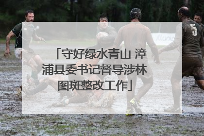 守好绿水青山 漳浦县委书记督导涉林图斑整改工作