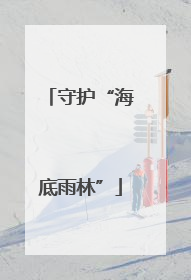 守护“海底雨林”