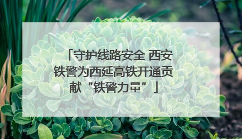 守护线路安全 西安铁警为西延高铁开通贡献“铁警力量”