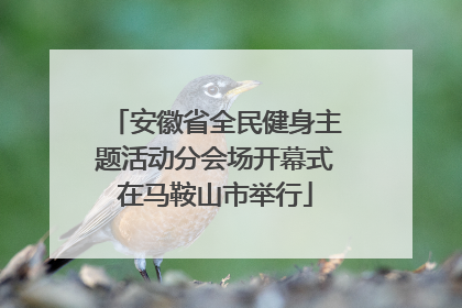 安徽省全民健身主题活动分会场开幕式在马鞍山市举行