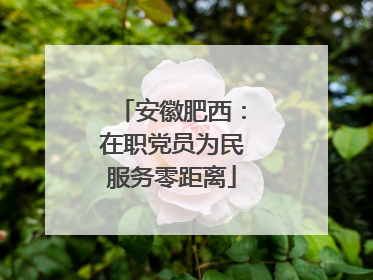 安徽肥西：在职党员为民服务零距离
