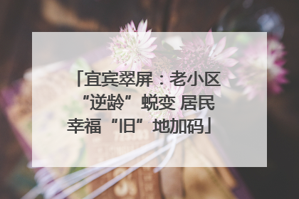 宜宾翠屏：老小区“逆龄”蜕变 居民幸福“旧”地加码
