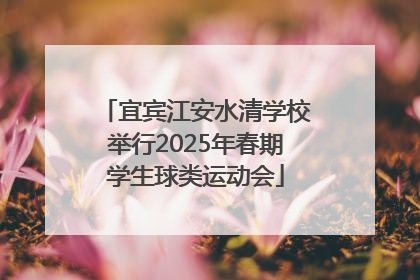 宜宾江安水清学校举行2025年春期学生球类运动会