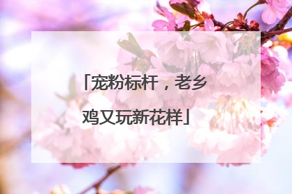 宠粉标杆，老乡鸡又玩新花样