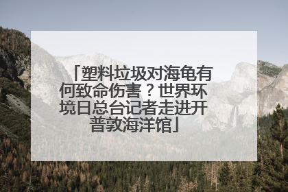 塑料垃圾对海龟有何致命伤害？世界环境日总台记者走进开普敦海洋馆