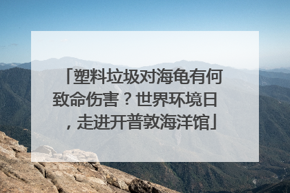 塑料垃圾对海龟有何致命伤害？世界环境日，走进开普敦海洋馆