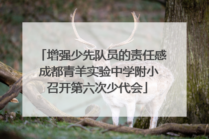 增强少先队员的责任感 成都青羊实验中学附小召开第六次少代会